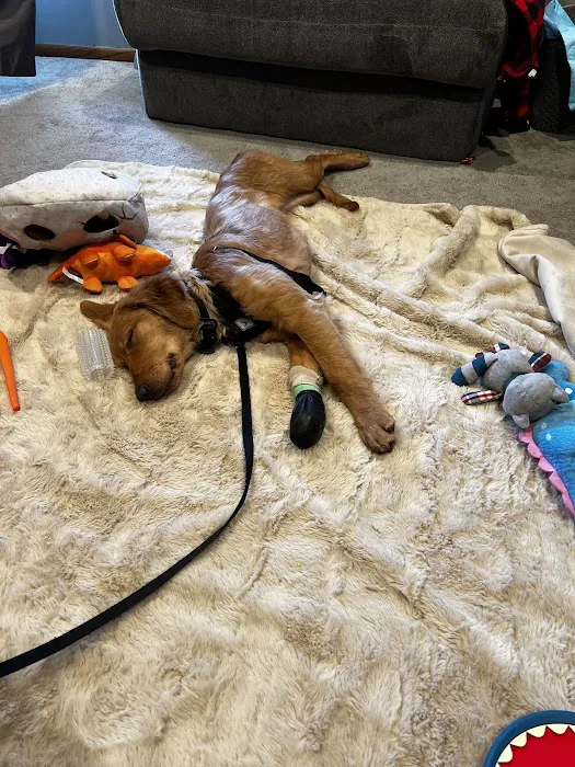 Banfield Pet Hospital Picture 8