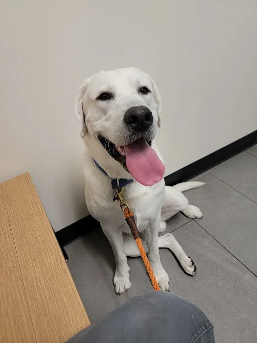 Banfield Pet Hospital Picture 3