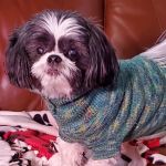 Banfield Pet Hospital