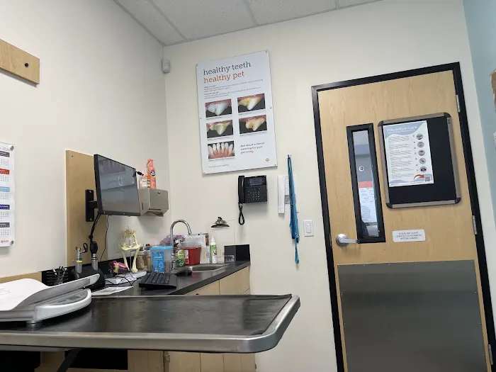 Banfield Pet Hospital Picture 6