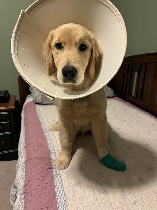 Veterinary Emergency Group Picture 9