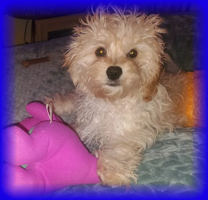 Northwest Animal Hospital Picture 6