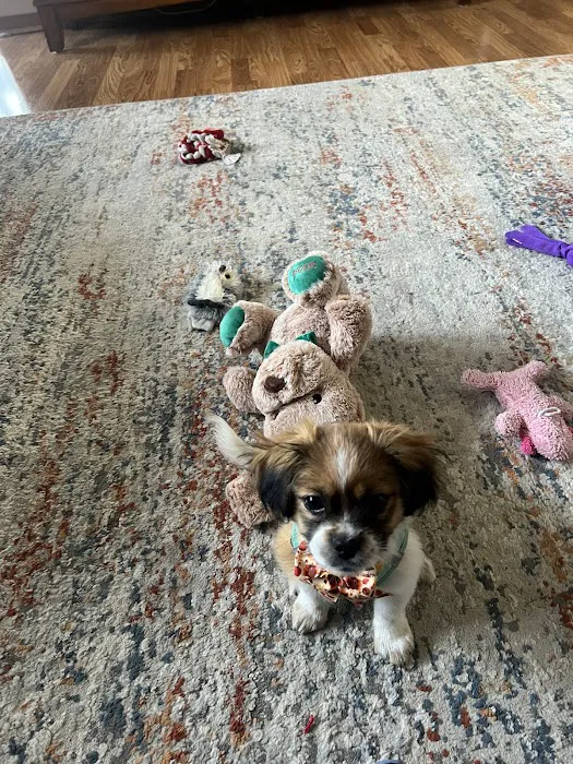 Banfield Pet Hospital Picture 9
