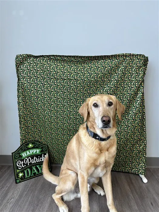 Hometown Veterinary Partners Champlin Picture 2