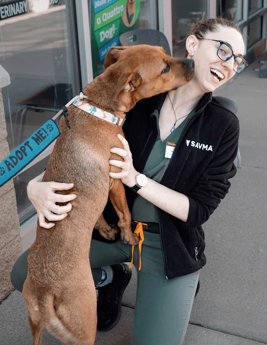 Hometown Veterinary Partners Champlin Picture 10