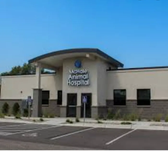 McHale Animal Hospital Picture 8