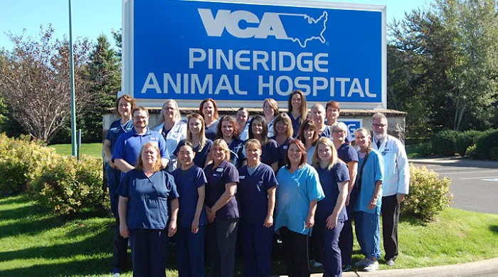 VCA PineRidge Animal Hospital Picture 8