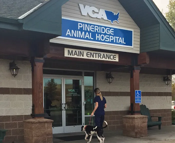 VCA PineRidge Animal Hospital Picture 10