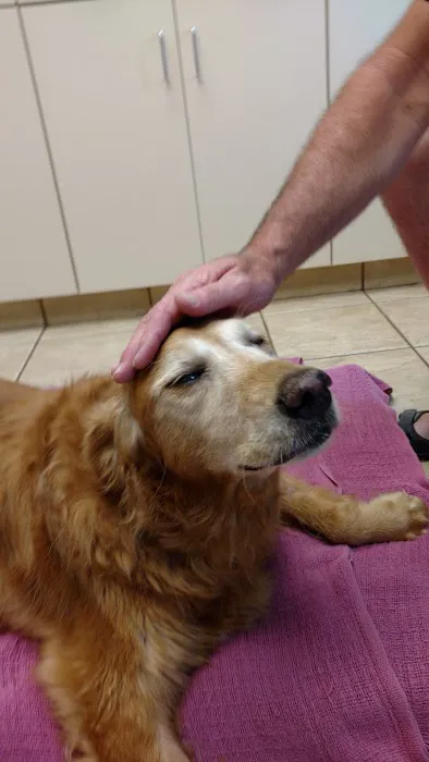 VCA PineRidge Animal Hospital Picture 9