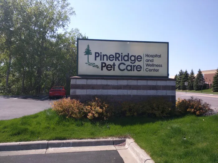VCA PineRidge Animal Hospital Picture 3