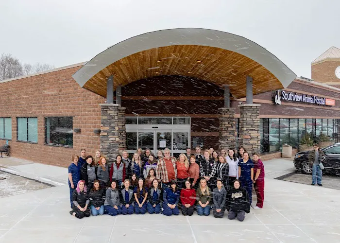 Southview Animal Hospital Picture 7