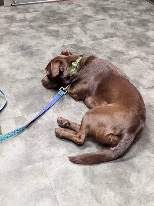 Southview Animal Hospital Picture 8