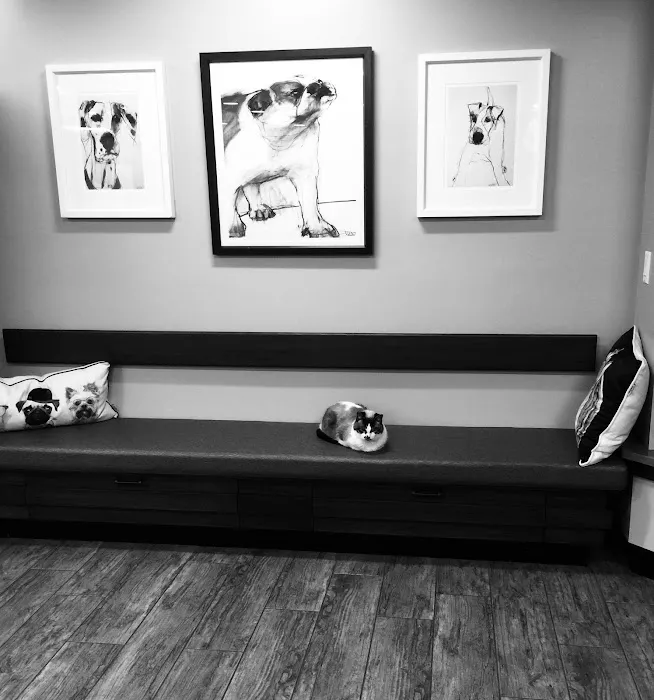 Skadron Animal Hospital Picture 1