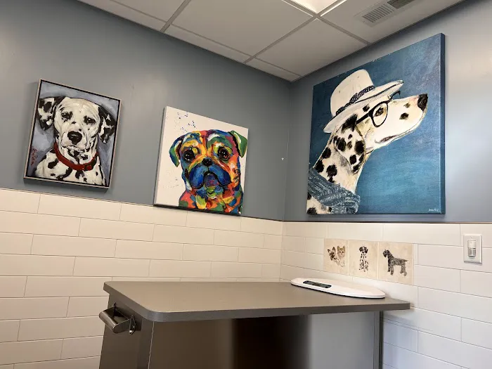 Skadron Animal Hospital Picture 4