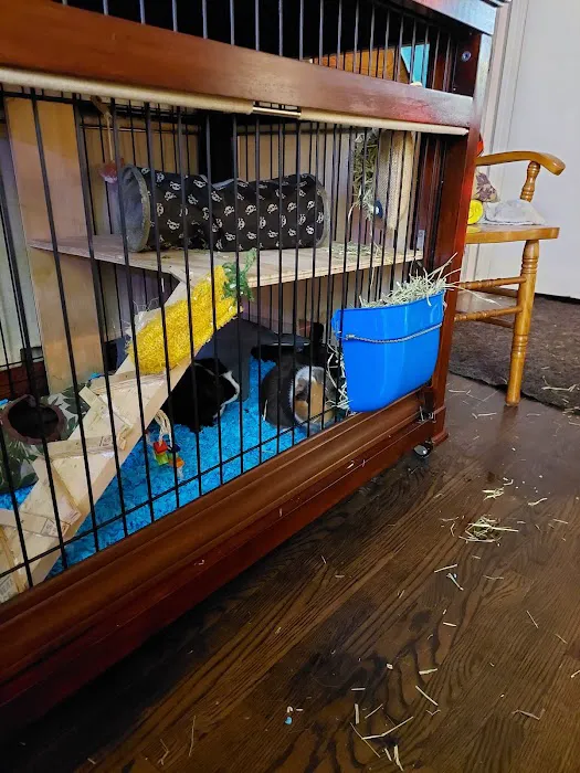 Skadron Animal Hospital Picture 8
