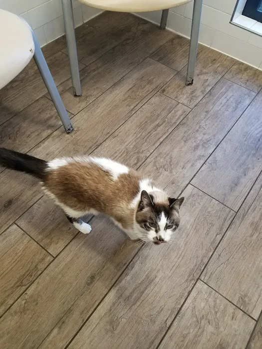 Skadron Animal Hospital Picture 9