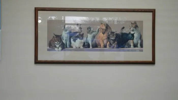 Arcade Animal Hospital Picture 2