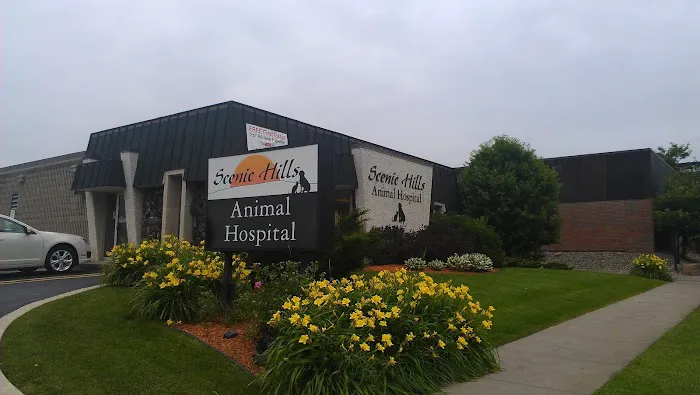 Scenic Hills Animal Hospital Picture 1