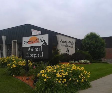 Scenic Hills Animal Hospital