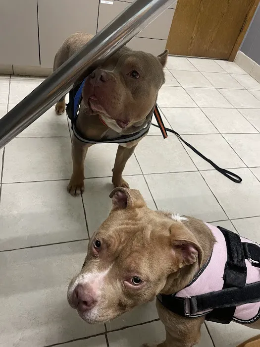 Scenic Hills Animal Hospital Picture 2