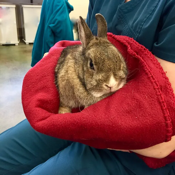 Minnetonka Animal Hospital Picture 3