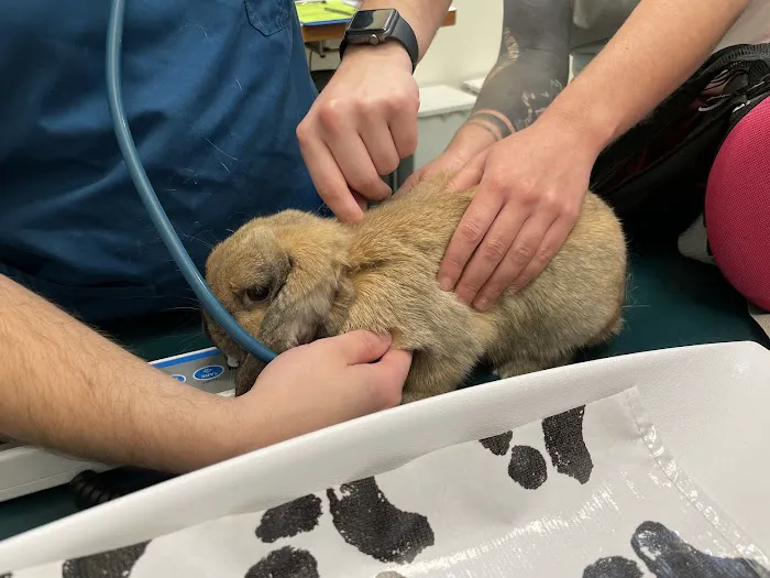Minnetonka Animal Hospital Picture 5