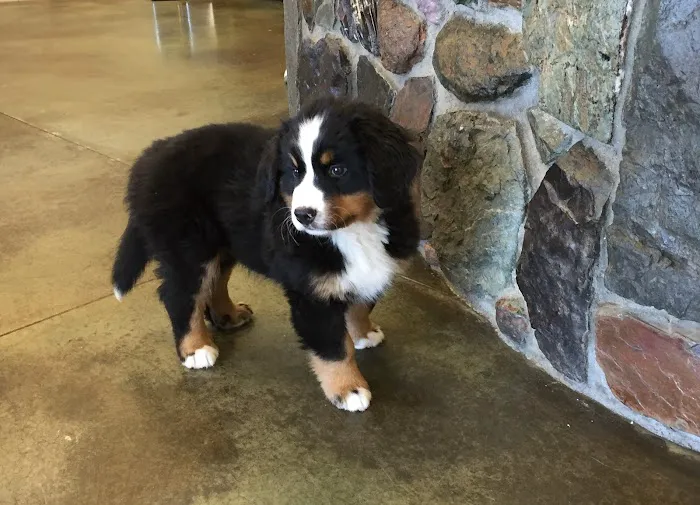 Minnetonka Animal Hospital Picture 10
