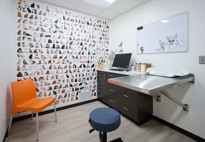 Wayzata Pet Hospital Picture 8