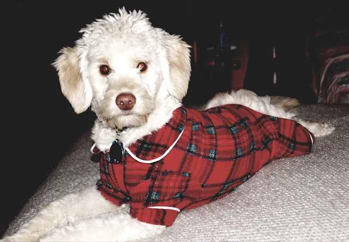 Wayzata Pet Hospital Picture 1