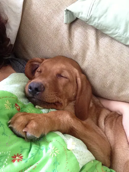 Wayzata Pet Hospital Picture 4