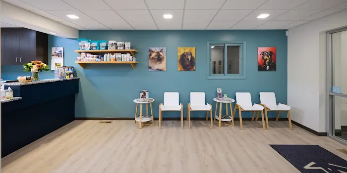 Wayzata Pet Hospital Picture 7
