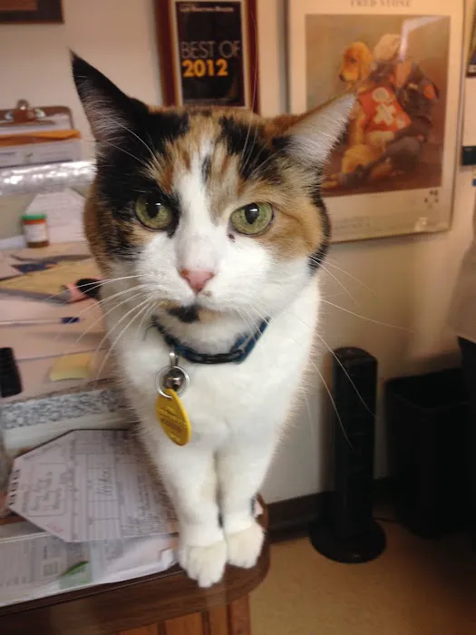 Long Lake Veterinary Clinic Picture 7