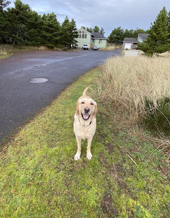 NW Animal Allergy & Dermatology Picture 9
