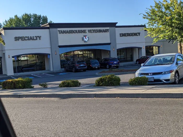 Tanasbourne Veterinary Emergency Picture 8