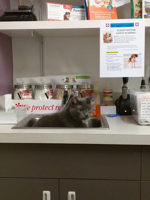 VCA Rock Creek Animal Hospital Picture 6