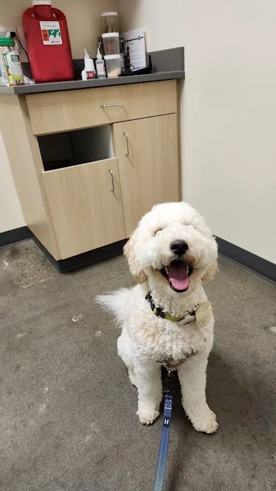 Vetco Total Care Animal Hospital Picture 7