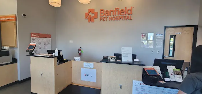 Banfield Pet Hospital Picture 5