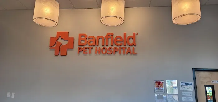 Banfield Pet Hospital Picture 4