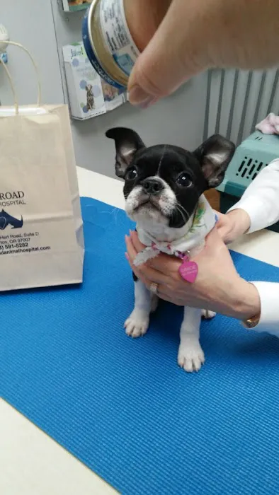 Hart Road Animal Hospital Picture 10