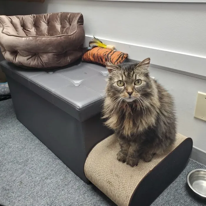 Hart Road Animal Hospital Picture 8
