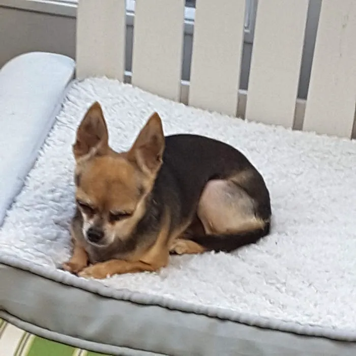 Hart Road Animal Hospital Picture 2