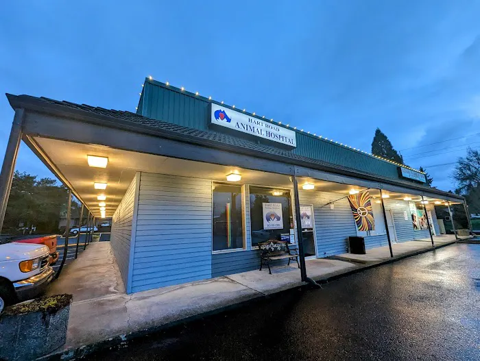 Hart Road Animal Hospital Picture 5