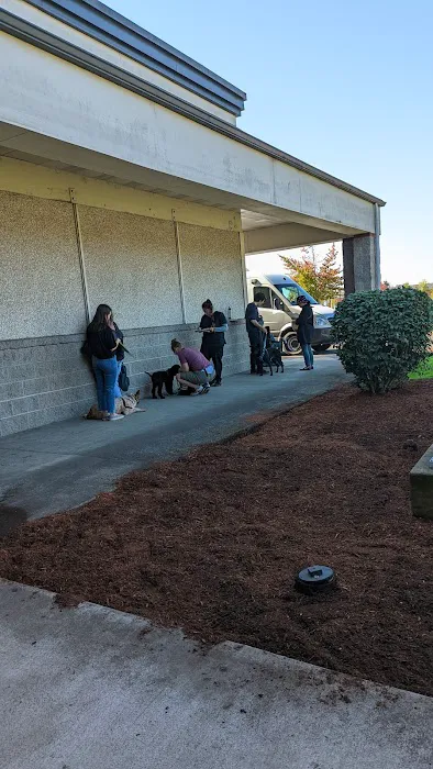 Good Neighbor Vet-Aloha Picture 2