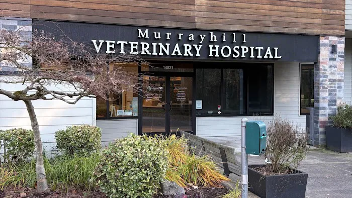 VCA Murrayhill Veterinary Hospital Picture 9