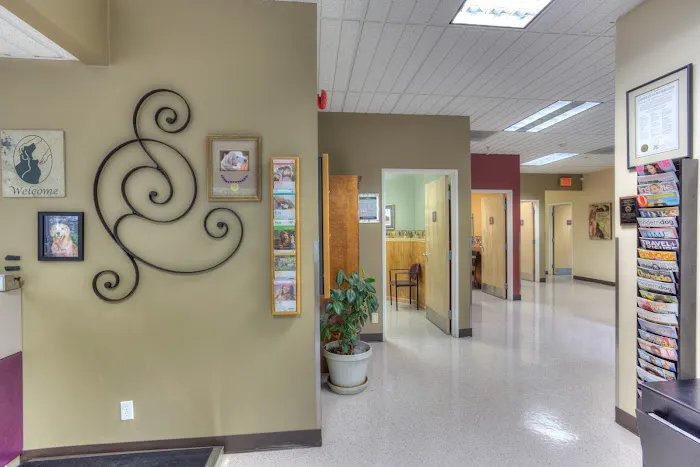 VCA Murrayhill Veterinary Hospital Picture 6