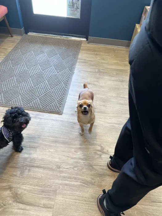 Hearthstone Veterinary Hospital Picture 7