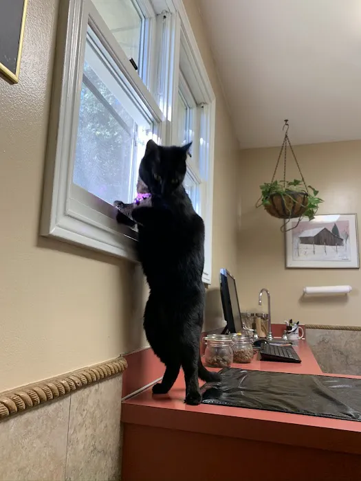 Hearthstone Veterinary Hospital Picture 10