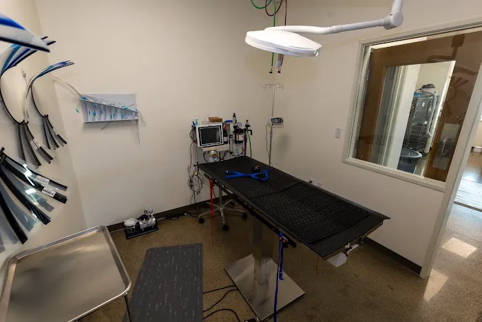 Hearthstone Veterinary Hospital Picture 3