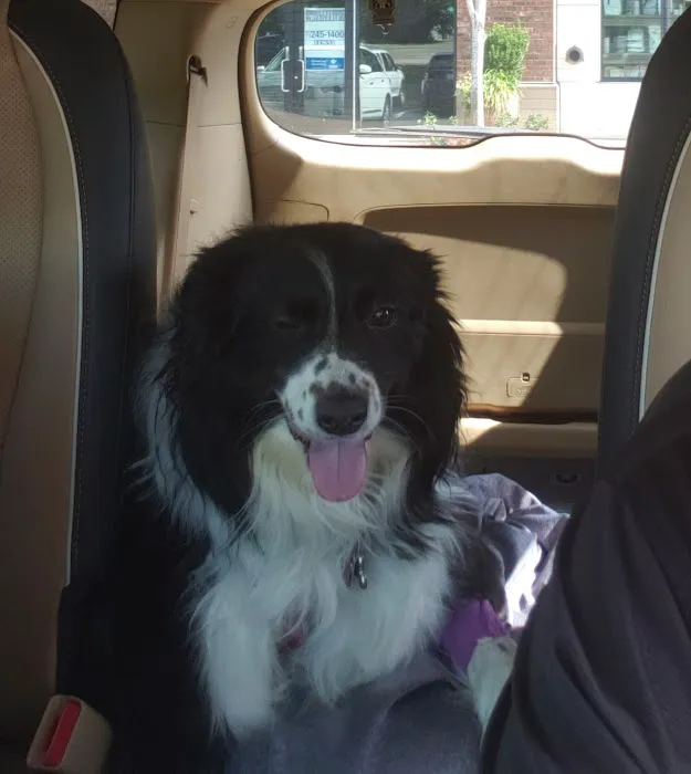 Banfield Pet Hospital Picture 2