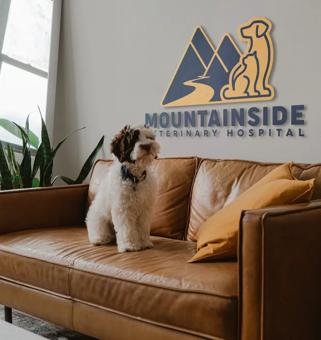 Mountainside Veterinary Hospital Picture 6